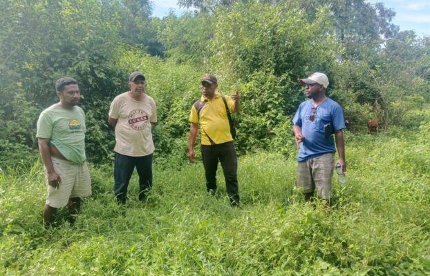 Peninjauan Infrastruktur Lahan Hortikultura Baru
