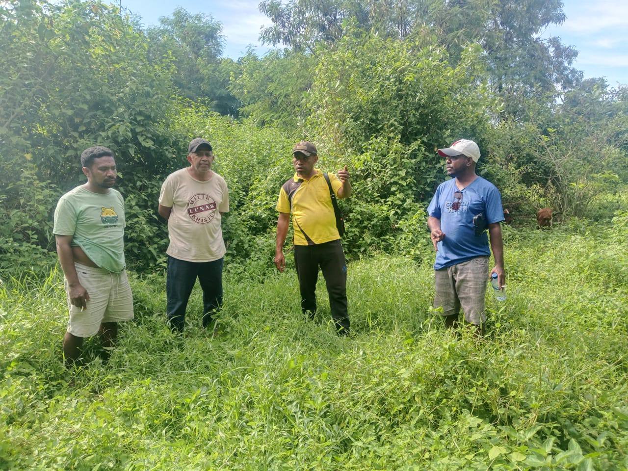 Peninjauan Infrastruktur Lahan Hortikultura Baru